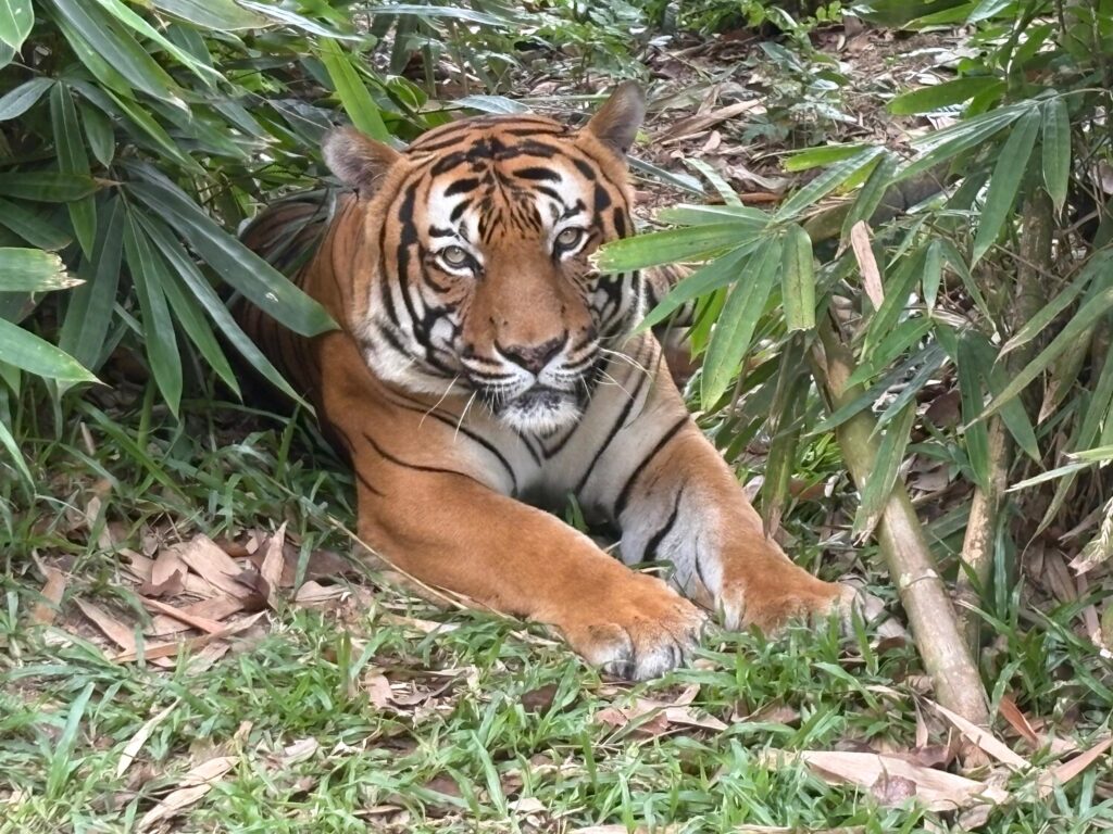 WhatsApp Image 2025-04-17 at 13.18.45_5ef9f098