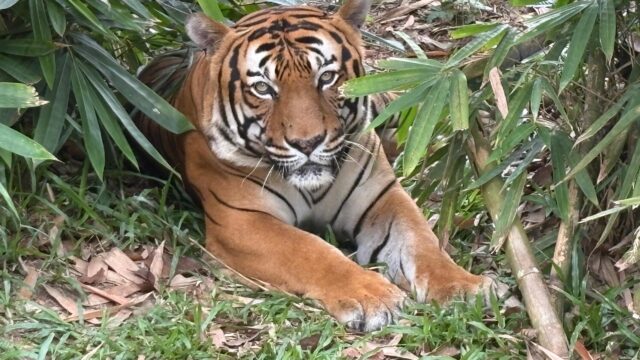 WhatsApp Image 2025-04-17 at 13.18.45_5ef9f098